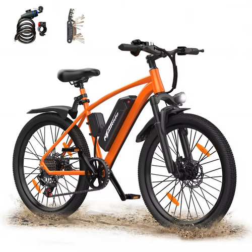 Elektrofahrrad 250w 36v 10ah - elektrofahrrad,