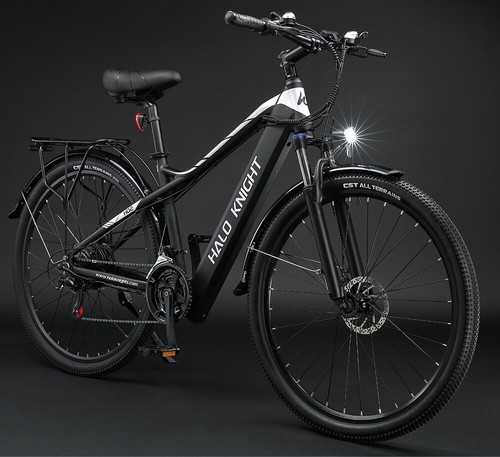 Elektrofahrrad 48v 16ah - 29"elektrofahrrad, 48v/16ah