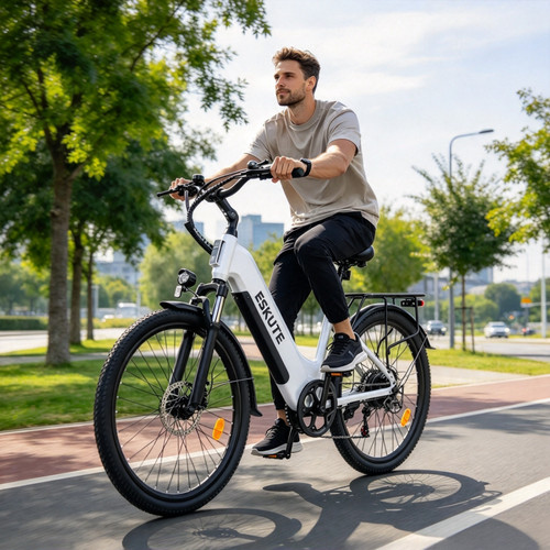 Elektrofahrrad 250w 48v - elektrofahrrad,