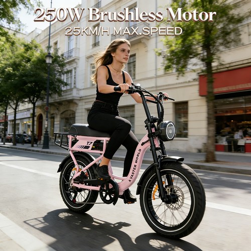 Avdl e fatbike 250w - 20, t7